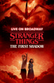 Stranger Things: The First Shadow